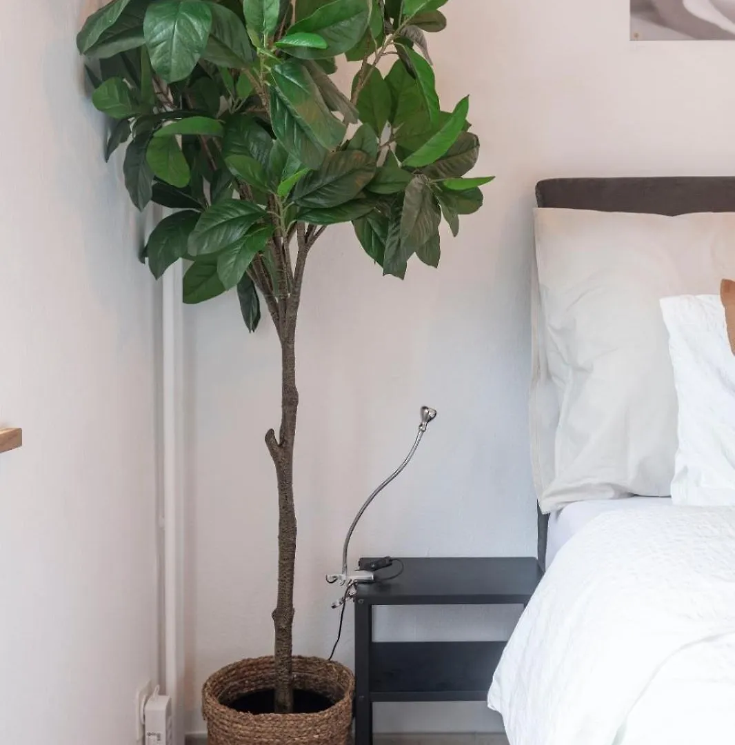 Gemuetlich Eingerichtete Wohnung Im Herzen Von Zuerich Switzerland
